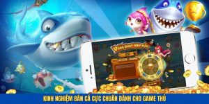 Cách Chơi Bắn Cá Chuẩn - Khám Phá Kinh Nghiệm Săn Bắt Hay