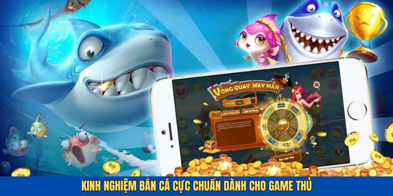Cách Chơi Bắn Cá Chuẩn - Khám Phá Kinh Nghiệm Săn Bắt Hay