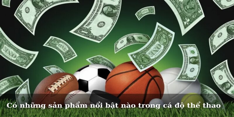 Có những sản phẩm nổi bật nào trong cá độ thể thao 