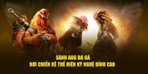 Đá Gà AOG - Sảnh Game Giải Trí Cá Cược Hấp Dẫn Nhất 2025