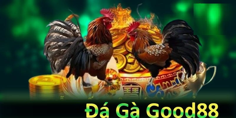 Tìm hiểu thông tin tổng quan về sảnh đá gà good88