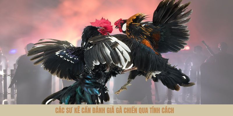 Đánh giá tính cách là một bí quyết lựa chọn chuẩn