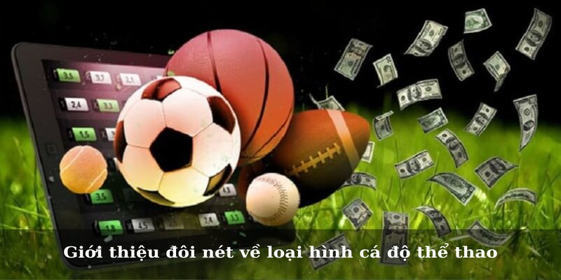 Giới thiệu đôi nét về loại hình và mẹo cá độ thể thao