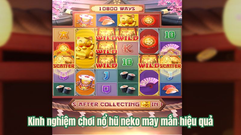 Kinh nghiệm chơi nổ hũ neko may mắn hiệu quả