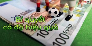 Top Mẹo Cá Độ Thể Thao Cực Hiệu Quả Cho Các Tân Thủ
